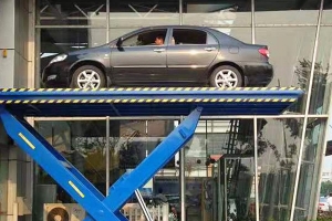 宜興汽車(chē)舉升機(jī)